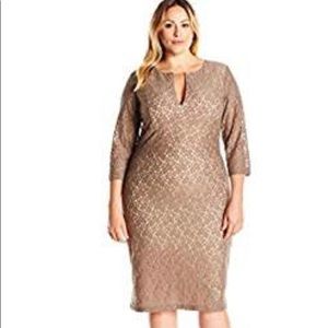 Women's Plus-Size Lace Meg Dress